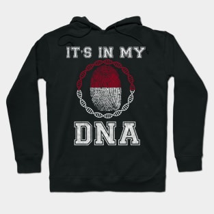 Indonesia  It's In My DNA - Gift for Indonesian From Indonesia Hoodie